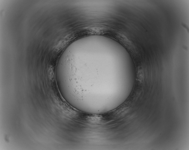 X0000099970318200806061636