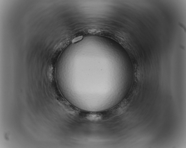 X0000099970319200806061636