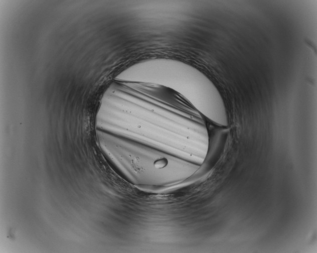 X0000099970320200806061636