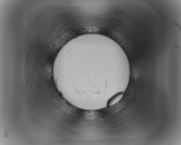 X0000099970321200806061636