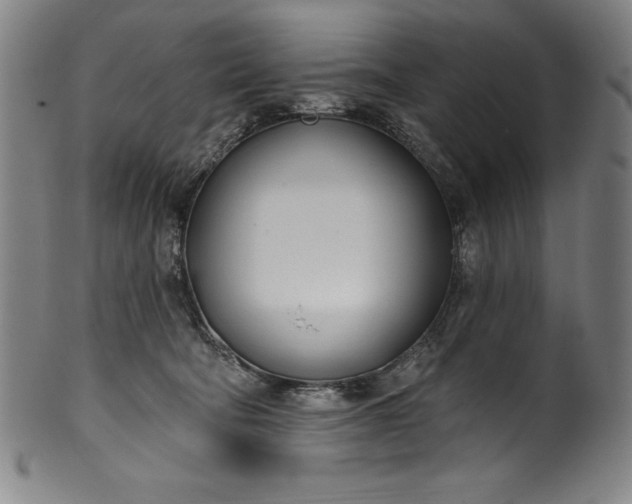 X0000099970322200806061636