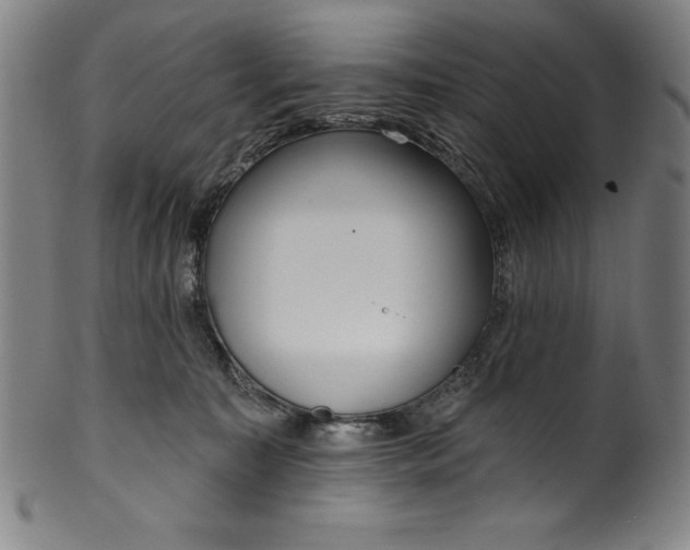 X0000099970323200806061636