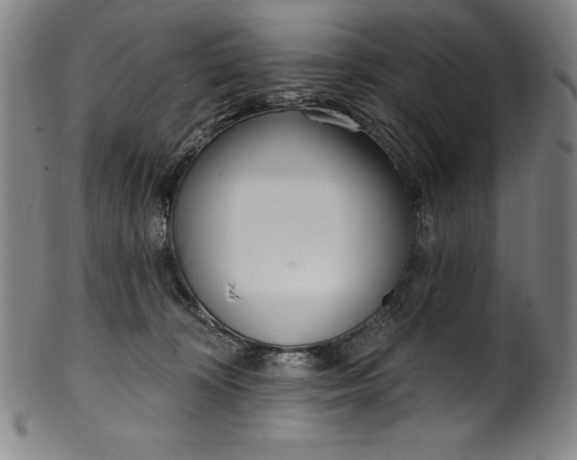 X0000099970324200806061636