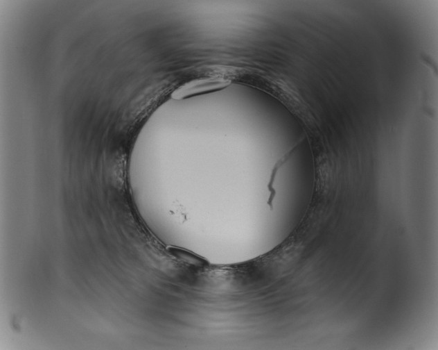 X0000099970325200806061636