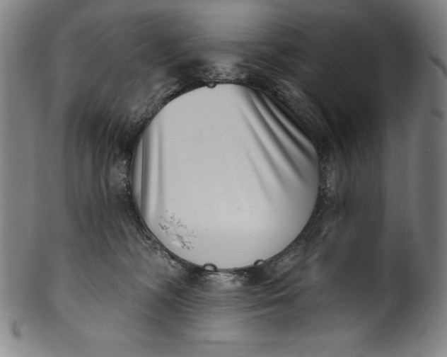 X0000099970326200806061636