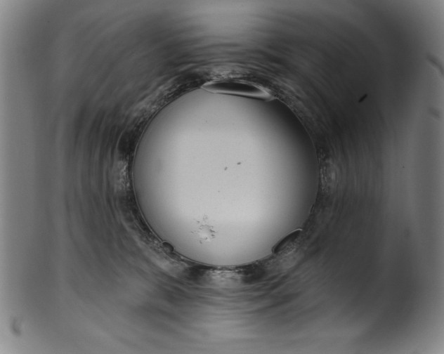 X0000099970327200806061636