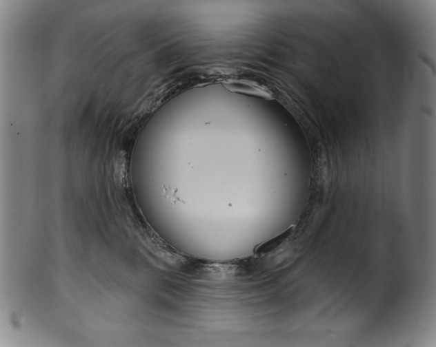 X0000099970328200806061636