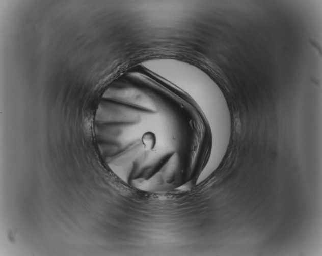 X0000099970329200806061636