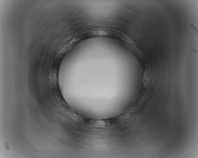 X0000099970330200806061636