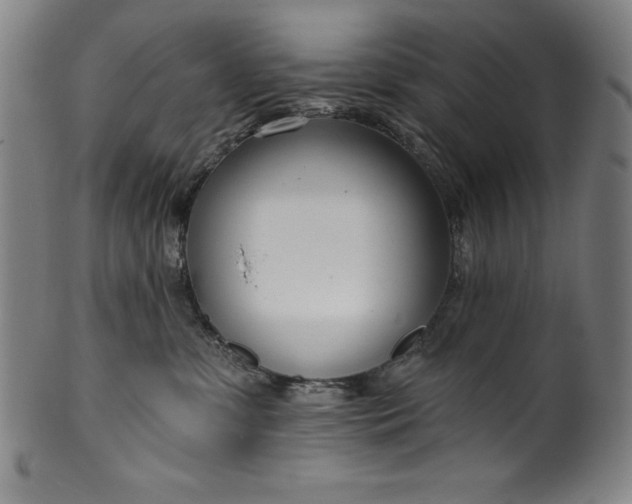 X0000099970331200806061636