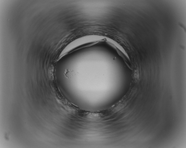 X0000099970332200806061636