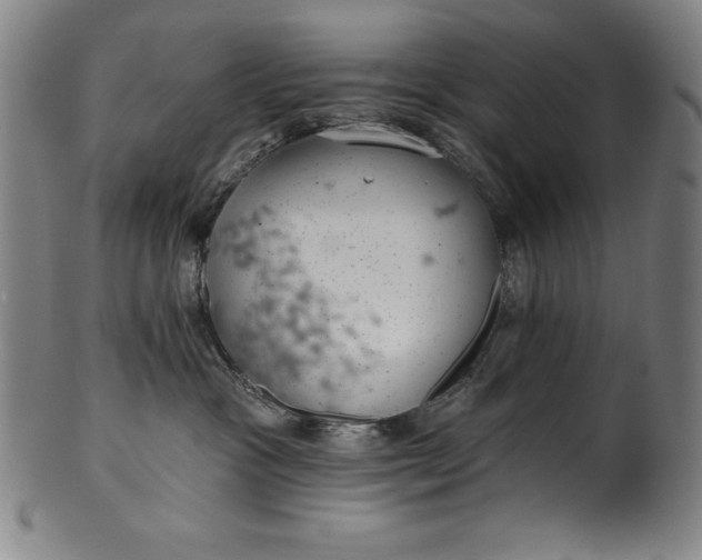 X0000099970333200806061636