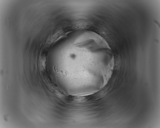 X0000099970334200806061636