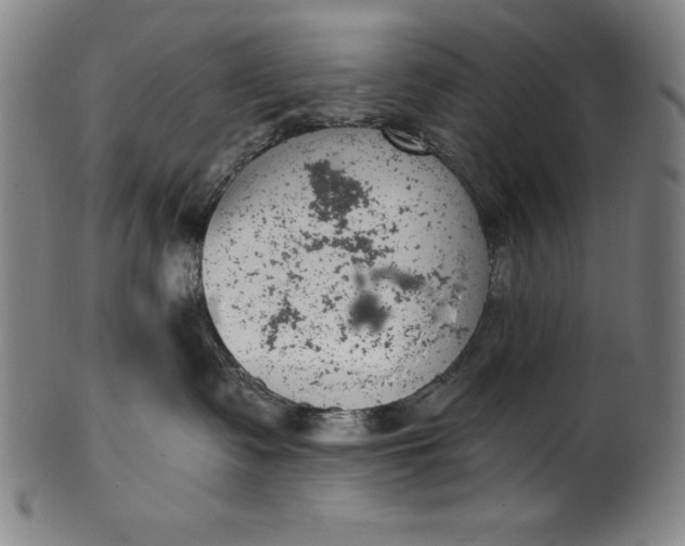 X0000099970335200806061636