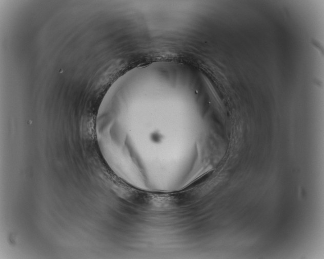 X0000099970336200806061636