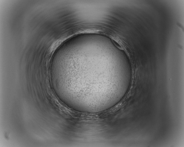 X0000099970337200806061635