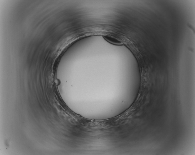 X0000099970338200806061635