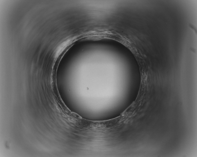 X0000099970340200806061635