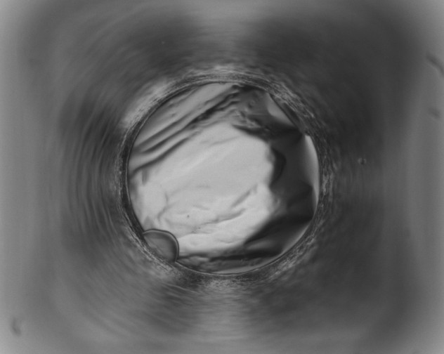 X0000099970341200806061635