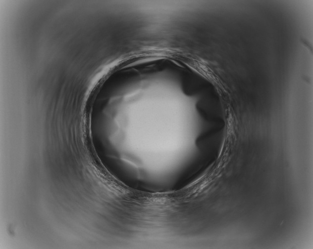 X0000099970342200806061635