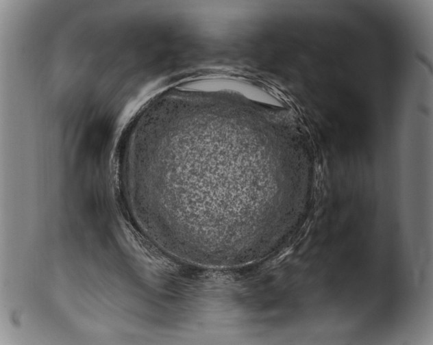 X0000099970343200806061635