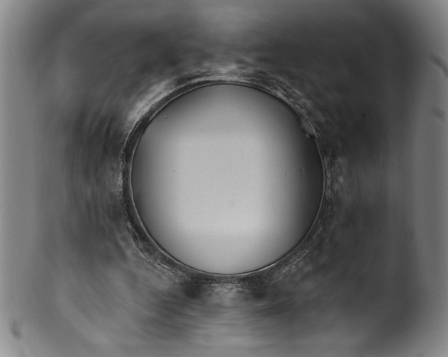 X0000099970344200806061635