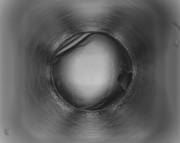 X0000099970345200806061635