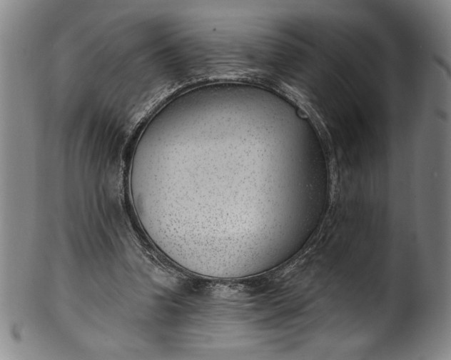 X0000099970346200806061635