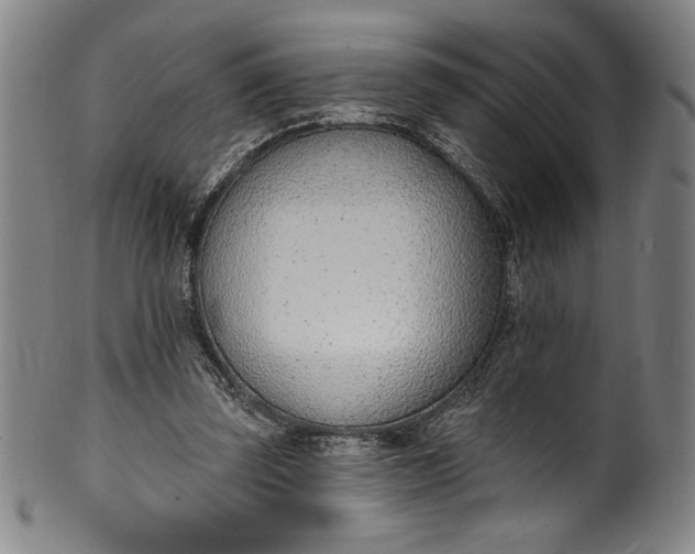 X0000099970347200806061635