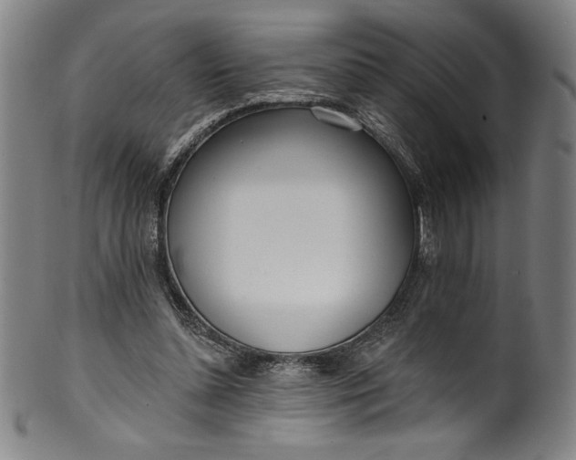 X0000099970348200806061635