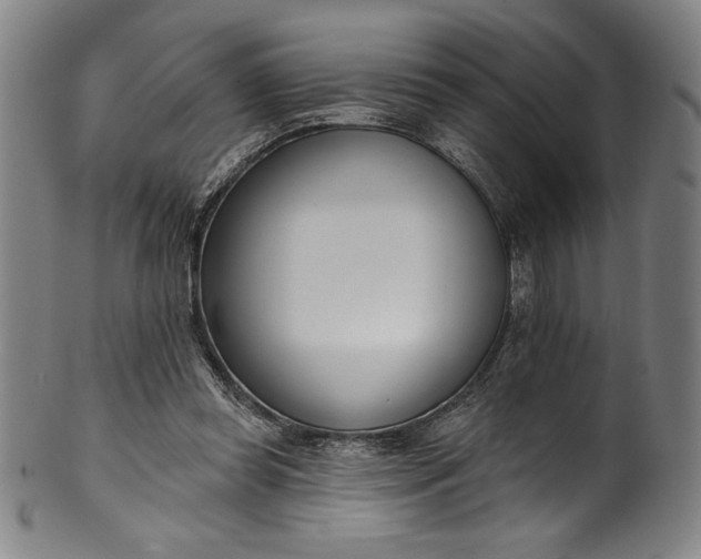 X0000099970349200806061635