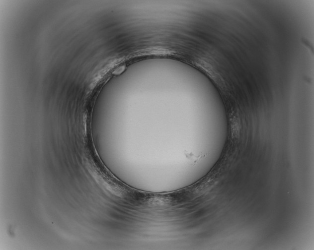 X0000099970350200806061635