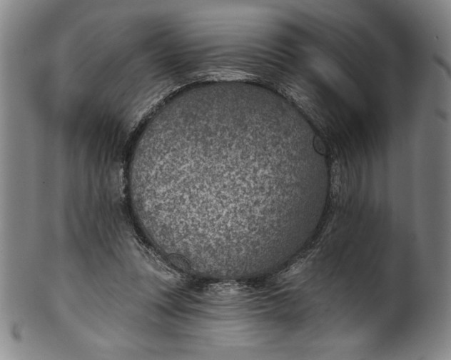 X0000099970351200806061635