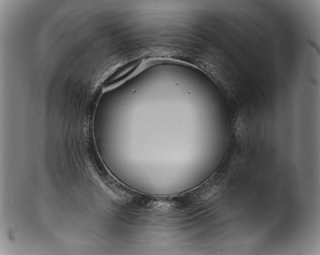 X0000099970352200806061635