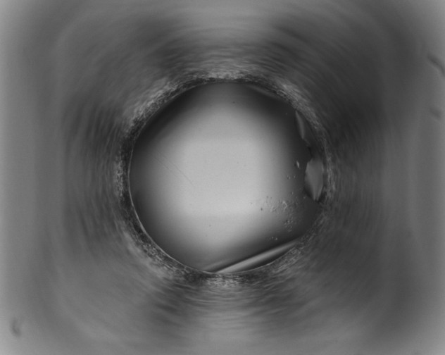 X0000099970354200806061635