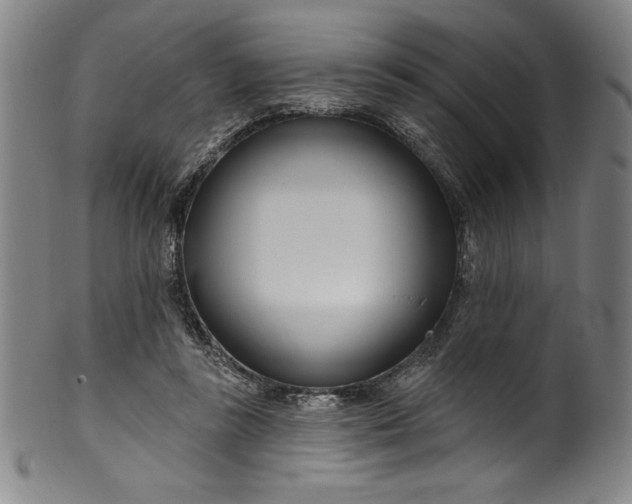 X0000099970355200806061635