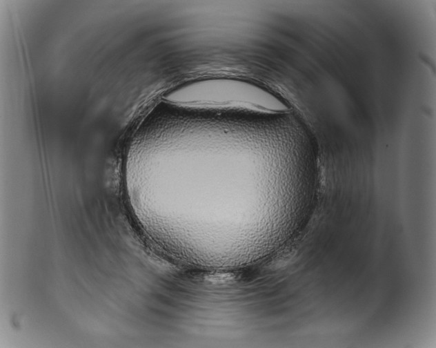 X0000099970357200806061635