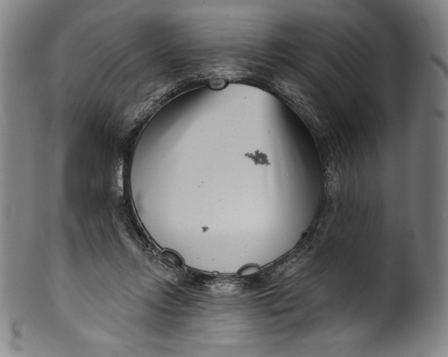 X0000099970358200806061635