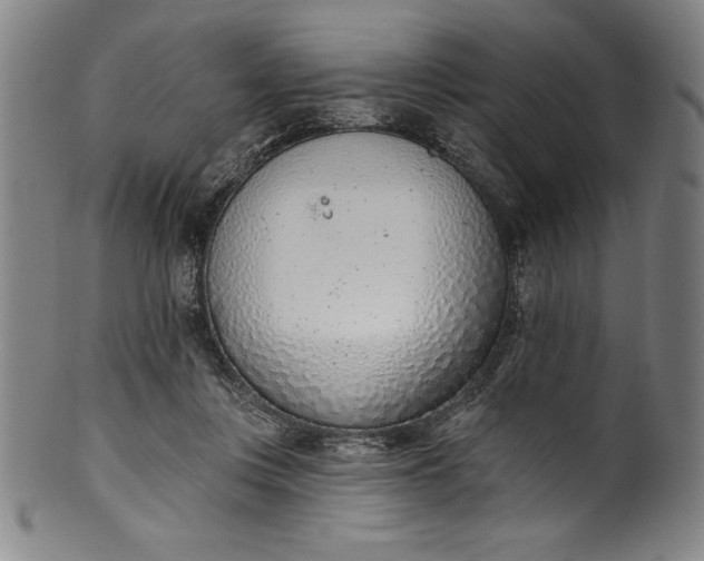 X0000099970359200806061635