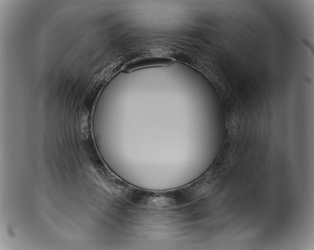 X0000099970360200806061635