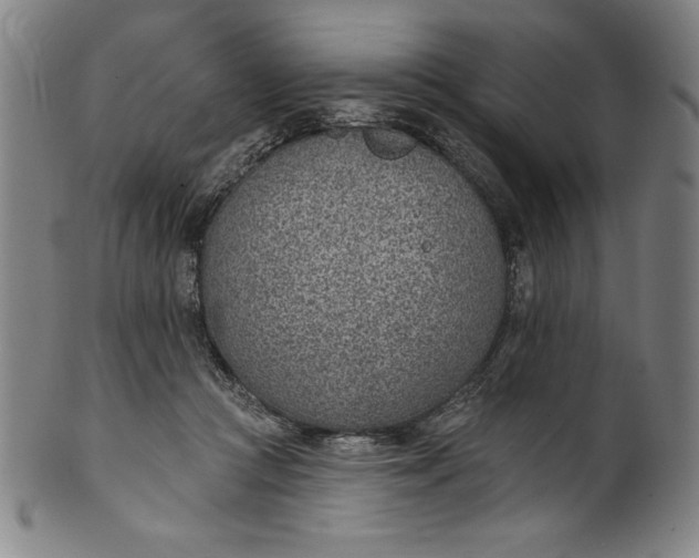 X0000099970361200806061635