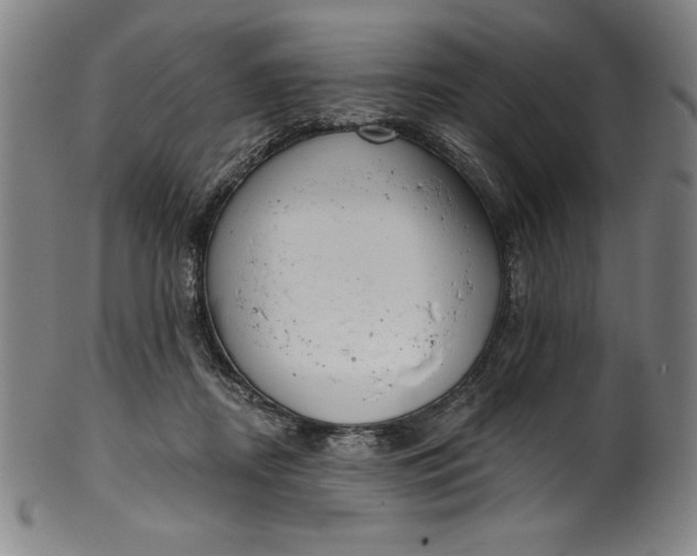 X0000099970362200806061635