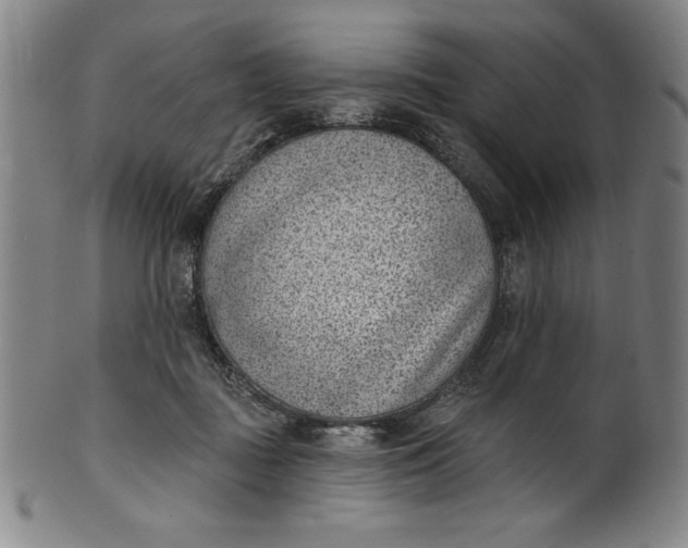 X0000099970363200806061635