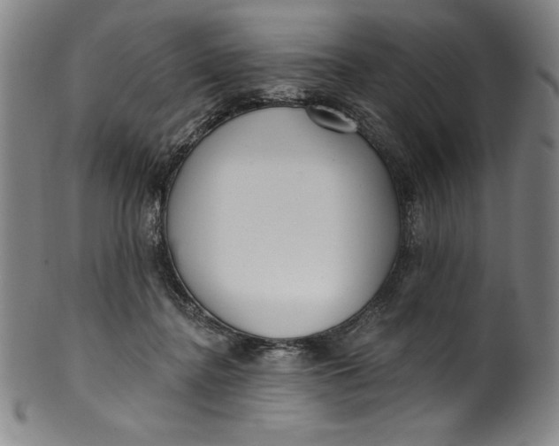 X0000099970364200806061635