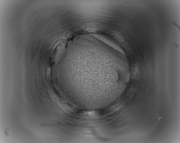 X0000099970365200806061635