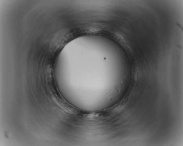 X0000099970366200806061635