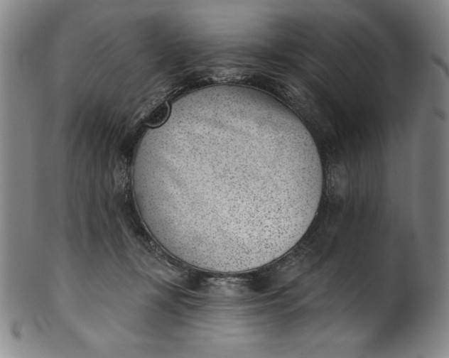 X0000099970367200806061635