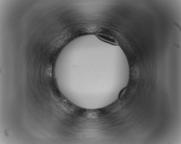 X0000099970368200806061635