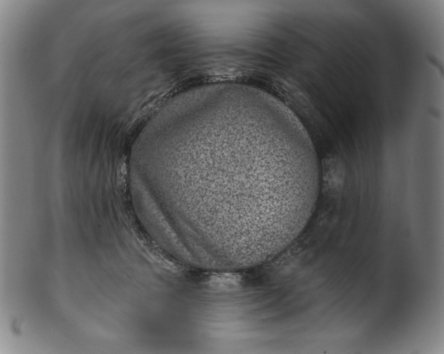 X0000099970369200806061635