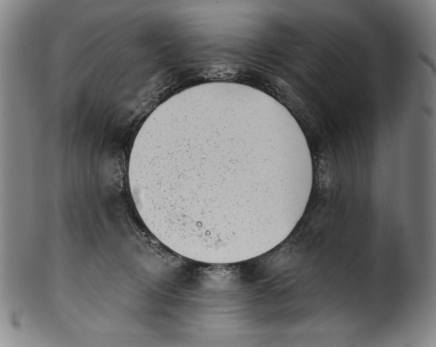 X0000099970370200806061635